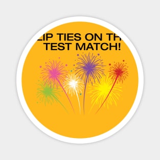 Zip Ties On The Test Match Magnet